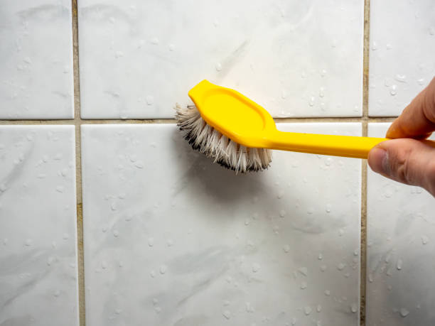 Best Professional Mold Removal  in Steelevle, IL