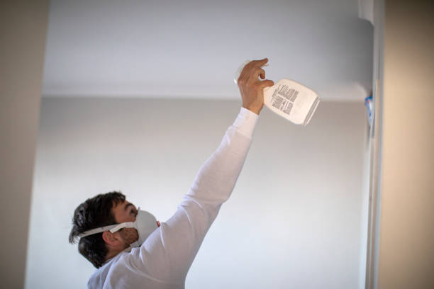Mold Removal Process in Steeleville, IL