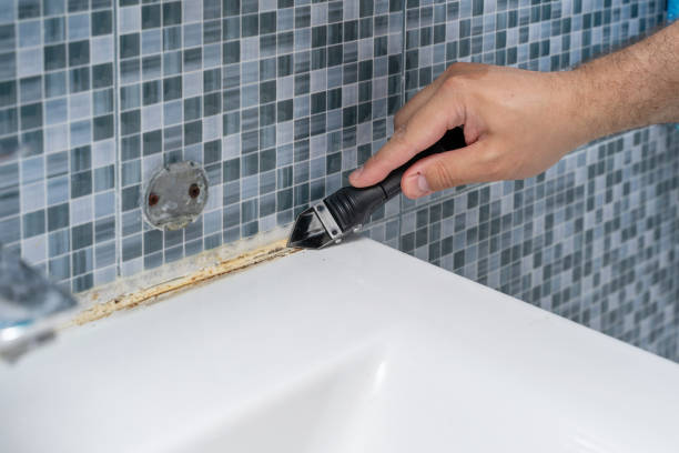  Steelevle, IL Mold Removal Pros