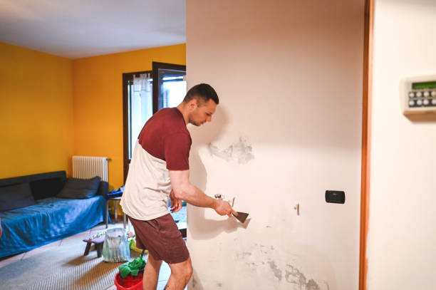 Best Home Mold Removal  in Steelevle, IL